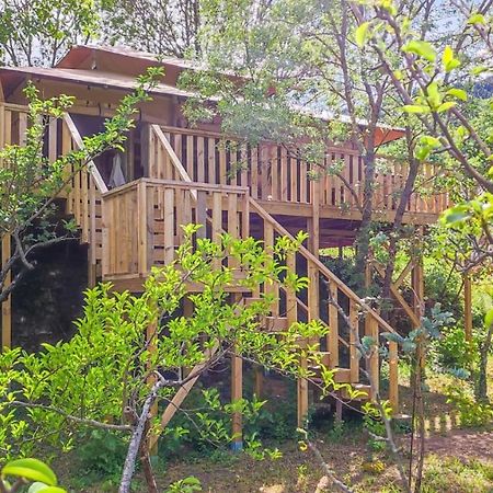 Hotel Orbis Boussagues La Tour-sur-Orb Zewnętrze zdjęcie